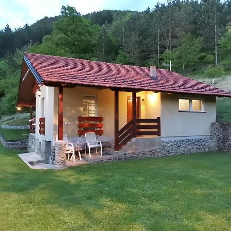 Vikend Kuca Maksimovic Villa Mataruska Banja Kültér fotó