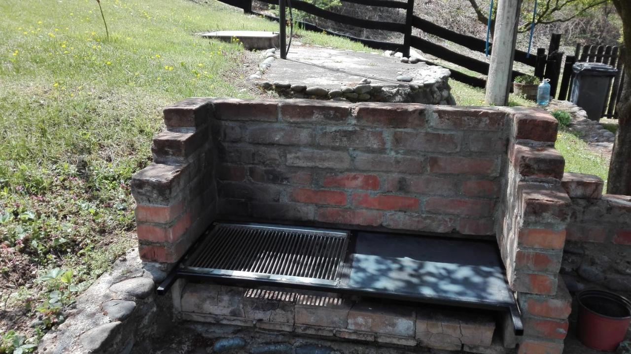 Vikend Kuca Maksimovic Villa Mataruska Banja Kültér fotó