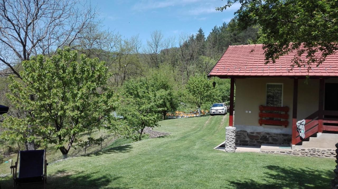 Vikend Kuca Maksimovic Villa Mataruska Banja Kültér fotó