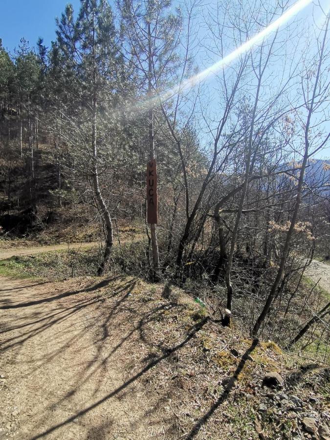 Vikend Kuca Maksimovic Villa Mataruska Banja Kültér fotó